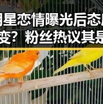 明星恋情曝光后态度突变？粉丝热议其是否“变心”引发讨论🔥