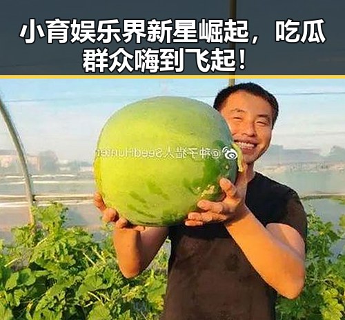 小育娱乐界新星崛起,吃瓜群众嗨到飞起!