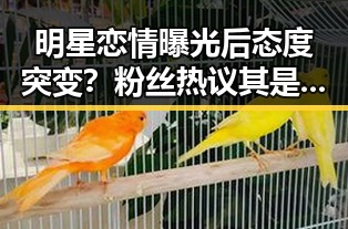 明星恋情曝光后态度突变?粉丝热议其是否“变心”引发讨论🔥